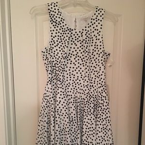 Polka Dot Dress